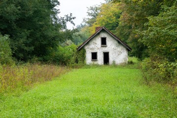 Obraz premium A Quaint Fairy Tale House Nestled Among Vibrant Greenery in a Magical Woodland Setting