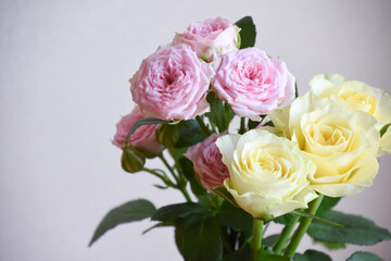 ピンクと黄色のばら