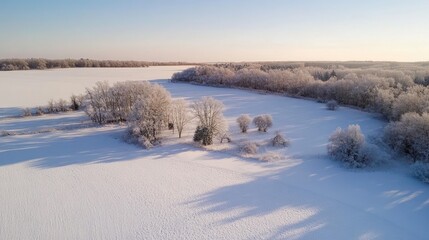 A vast winter field with a small cluster of trees, surrounded by a blanket of fresh snow