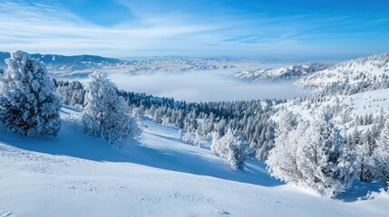 A wide view of a snow-covered valley with distant mountains and a foggy winter sky