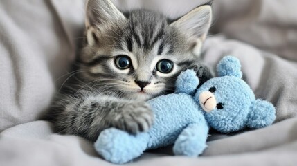Adorable gray kitten with striking blue eyes cuddling a soft blue teddy bear on a cozy blanket, capturing the essence of innocence and playfulness in a heartwarming scene