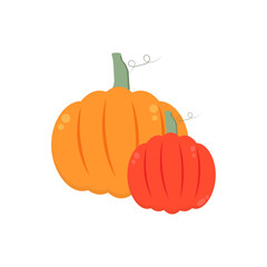  flat pumpkin illustration vector