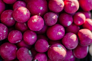 Fresh radish, close-up, selective focus