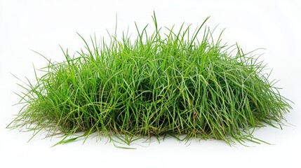 Lush Green Grass Pile on White Background Ideal for Nature Themes and Gardening Projects with Freshness and Vibrancy in Outdoor Settings or Landscaping Designs