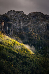 Sunlit patch illuminating trees on a hillside — Prokletije, Albanian Alps, Accursed Mountains,...