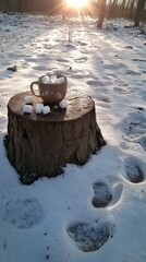 Minimalist photography of a cup of cocoa with large marshmallows on a snow-covered stump, surrounded by rabbit tracks and sun rays playing on the snow, space for text on the right