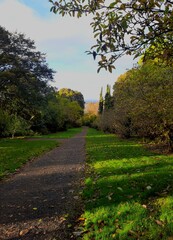 path in the park