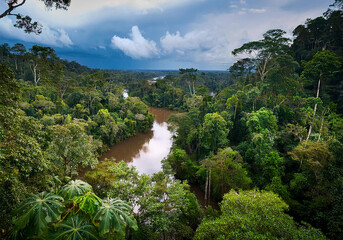 Amazonas-Regenwald, Amazonasbecken, Naturlandschaft Südamerika 