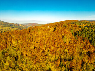 Herbstlicher Thüringer Wald am Henkeltöpfchen bei Kleinschmalkalden - Thüringen - Deutschland