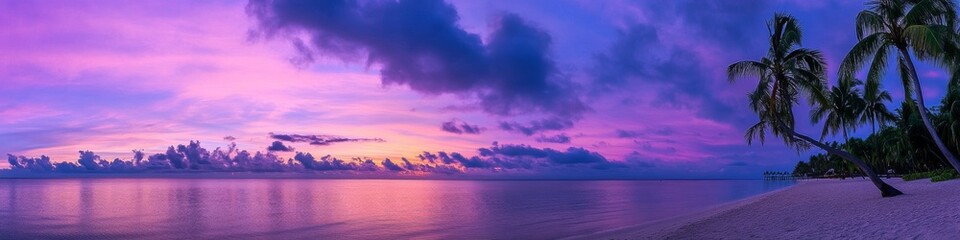paradise beach vista, cotton candy sky, tall palm silhouettes, glowing horizon sun, smooth beach reflections, purple sunset clouds, romantic tropical setting, professional beach photography
