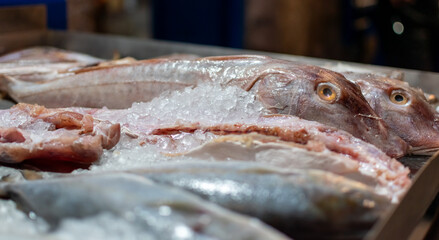 Fresh sea fish on ice close-up