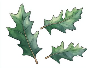 Three artistic oak leaves with vibrant green hues on a clean background, isolated on white background.