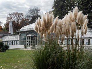 Museo Botanico de belgrado