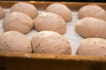yeast dough in the form of loaves waiting to be cooked