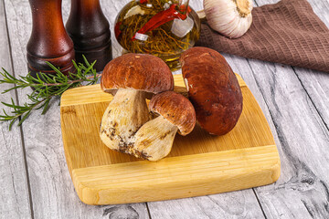 Raw natural wild porchini mushrooms
