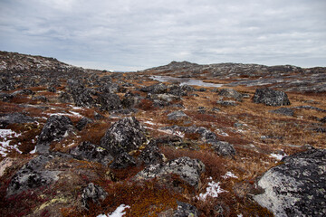 Icebergs and frigid scenery in Greenland, Arctic