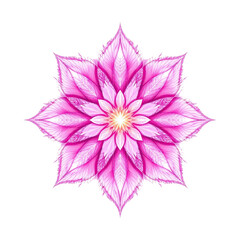 Fototapeta premium pink dahlia isolated on white background, 3d Pink Flower isolated on transparent background, png file