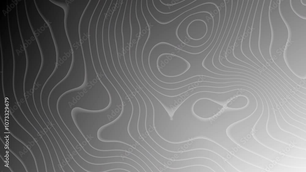 Poster abstract grayscale design with wavy lines and circles, suitable for web backgrounds, presentations, 