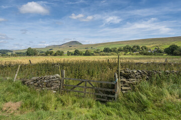 Pen-y-Ghent from the Ribble Way near to Horton in Ribblesdale