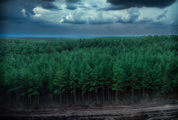 Fototapeta premium Tam gdzie światło nie dociera 