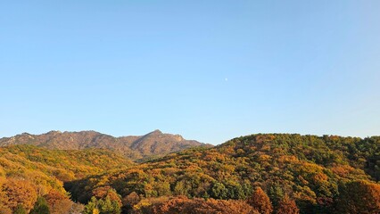 가을에 빨갛고 노랗게 물든 나무와 하늘이 보이는 자연경관