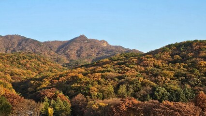 가을에 빨갛고 노랗게 물든 나무와 하늘이 보이는 자연경관