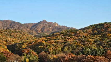 가을에 빨갛고 노랗게 물든 나무와 하늘이 보이는 자연경관