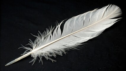 Obraz premium A single, pristine white feather isolated against a dark background, showcasing intricate detail and delicate texture.