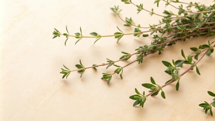 A Fresh Bouquet of Thyme Sprigs on a Rustic Wooden Background