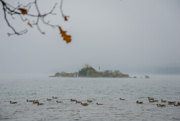 Late Autumn
