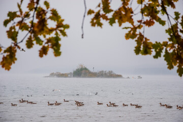 An Island in Fall