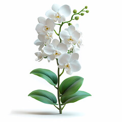 Obraz premium Bouquet of Phalaenopsis Orchids flowers