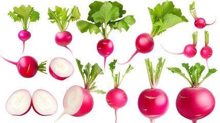 Radish Mockup