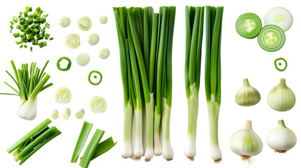 Scallion (Green Onion) Mockup