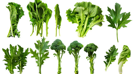 Mustard Greens Mockup