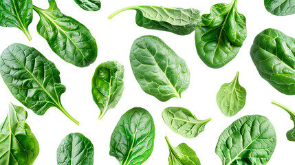 Spinach Mockup
