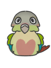 Fluffy greencheek cinnamon conure 