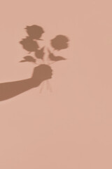 Creative shadow of a hand holding flower bouquet against pastel beige background. Minimal roses love aesthetics.