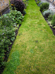 Obraz premium Garden in nature