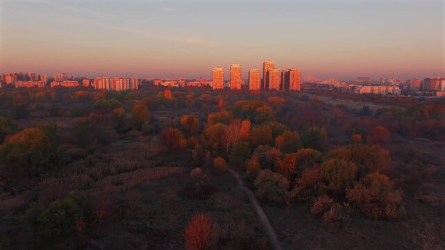 Vacaresti Natural Park. Aerial 4K video with this amazing natural reservation park in Bucharest, view during an autumn sunrise with city in background. Travel to Romania.