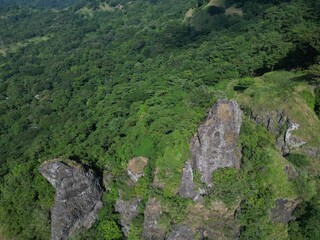 Mountain peak and forest
