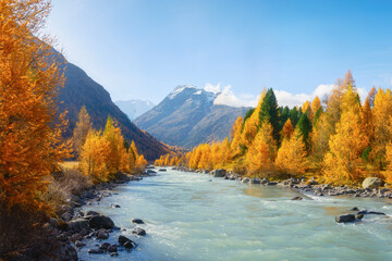 Autumn landscape in Switzerland. Sunrise in the mountains. Fog and fall forest. Blue mountain...