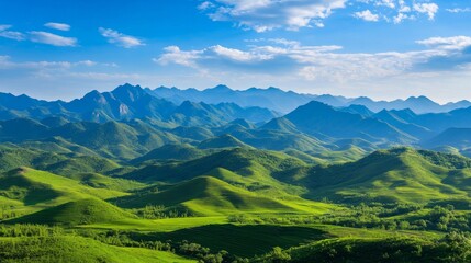 Obraz premium landscape in summer