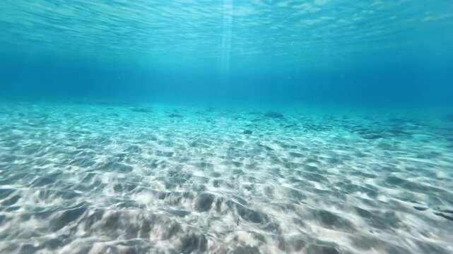 Beautiful white fish swim underwater on the sandy bottom of the sea. Aegean sea, Ios island, Greece. Sunrays shining through the clear blue water. Travel and summer vacation  
