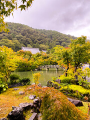 autumn landscape with a bridge