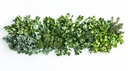 Obraz premium Herbal blend featuring parsley and other green herbs, isolated with sprigs arranged in a fan shape