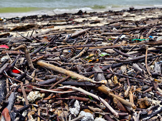 A beach heavily littered with wood and plastic
