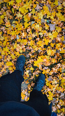 person walking in autumn