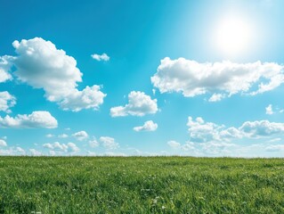 Obraz premium A vibrant landscape featuring lush green grass under a clear blue sky dotted with fluffy clouds and bright sunlight.