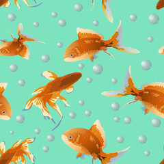 Fototapeta premium Pattern with goldfish on a colored background.Beautiful goldfish in vector illustration.